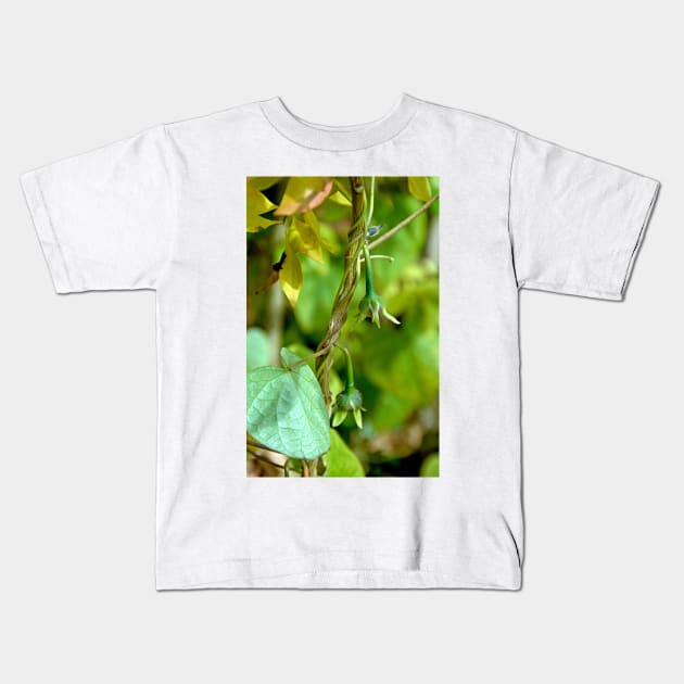 Budding Morning Glories Kids T-Shirt by bobmeyers